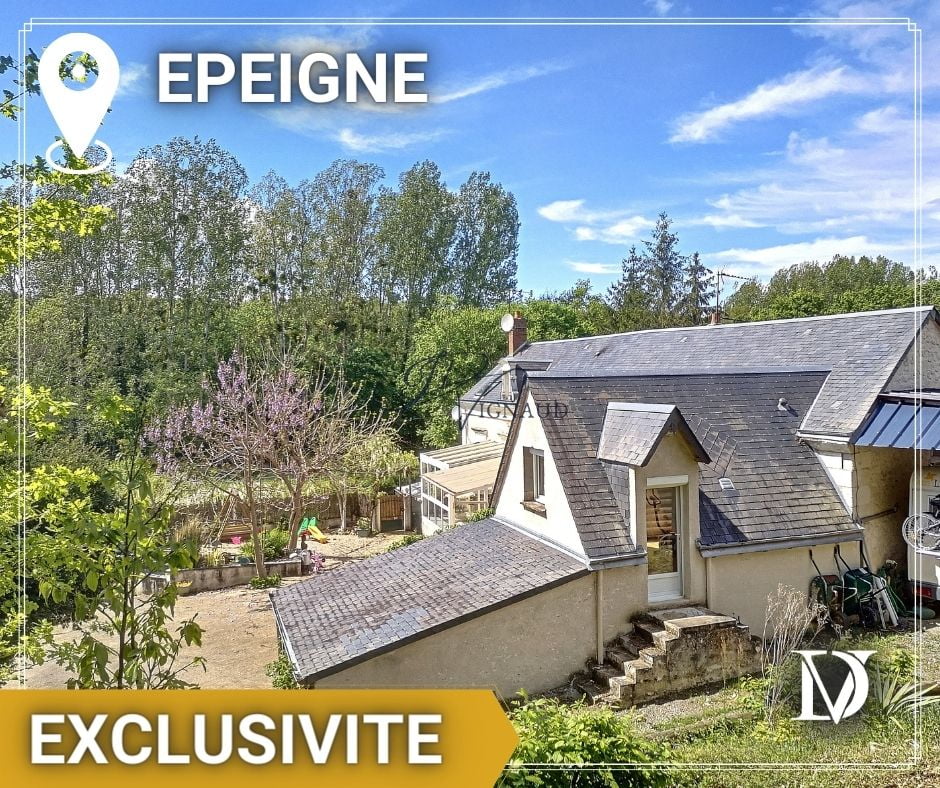 Exclusivité Epeigné, ferme CHenonceau, grand terrain,gîtes, ruisseau, étang, source, bois